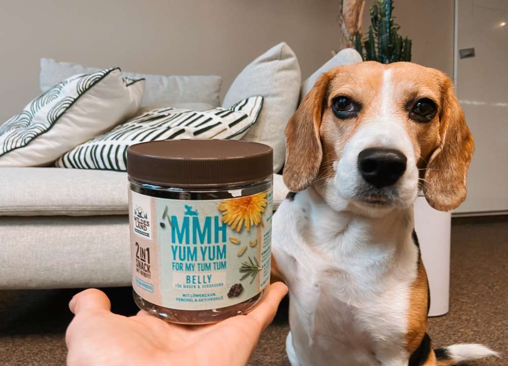 tests-Wildes Land Snack mit Benefit – BELLY für Magen & Verdauung im Dogorama Test | Erfahrungen & Community Bewertungen-Bild