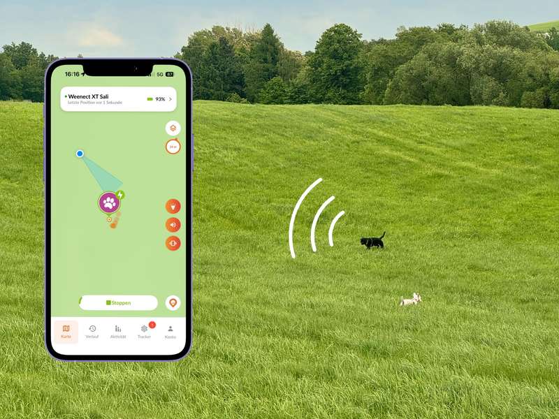 Weenect XT Tracker Freilauf Hund