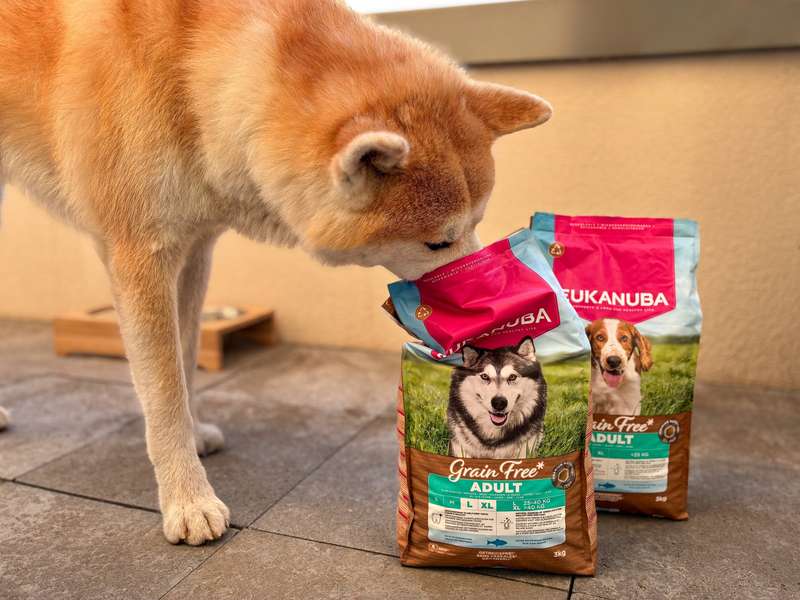 EUKANUBA Trockenfutter mit Seefisch getreidefrei im Test mit Akita Aiko