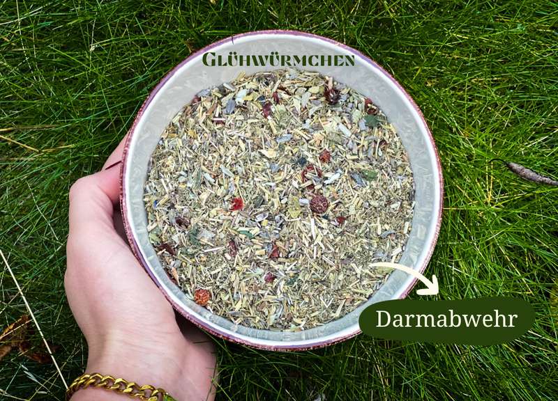 Glühwürmchen Kräutermischung in einer Schüssel