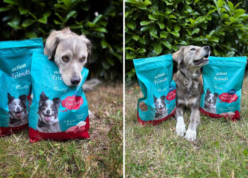 Kjell mit dem activaFriendsTF