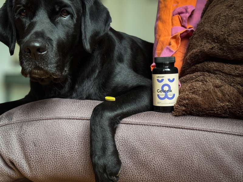 Sali mit den subosan Gelenktabletten