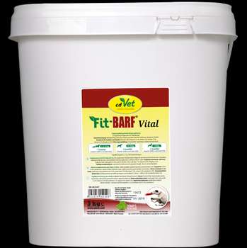 Produkt Test Titelbild