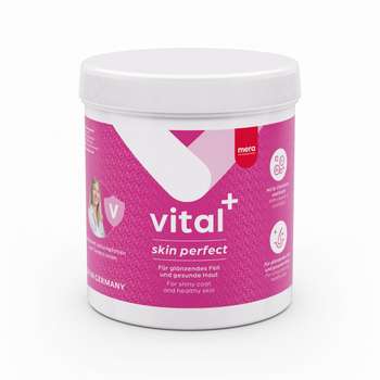 Produkt Test Titelbild