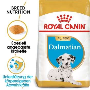 tests-Royal Canin Dalmatian Puppy-Bild