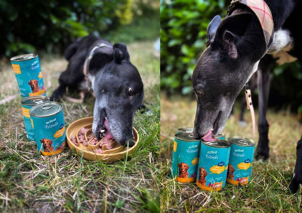 tests-Unsere Erfahrungen mit dem Nassfutter activa Friends Adult Hühnchen mit Rind | Tierarzt & Community Bewertung-Bild