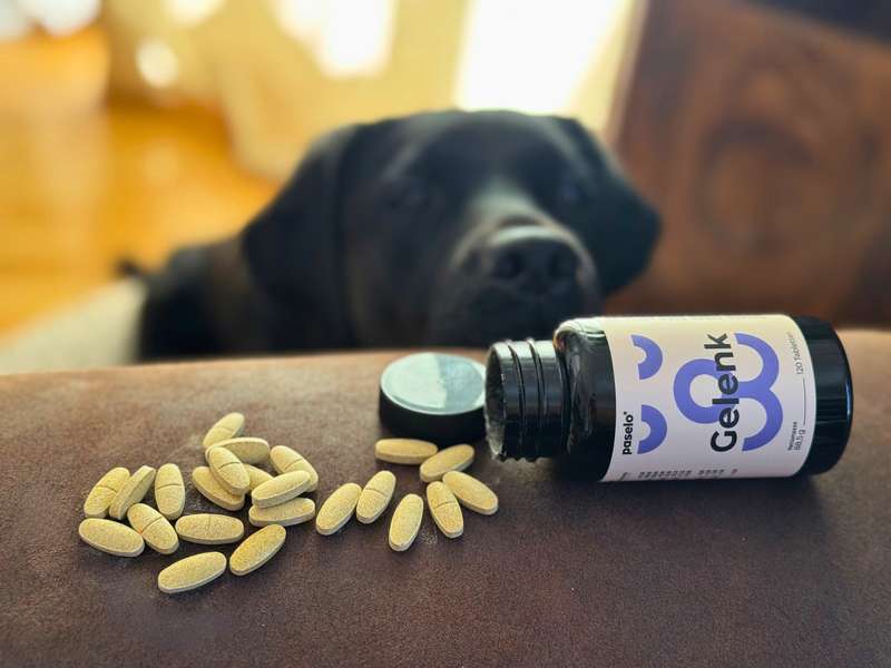Sali mit den paselo Gelenktabletten