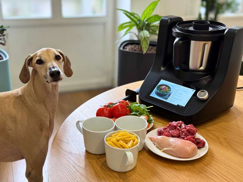 LuckyChef CookA im Test, Tadashi steht