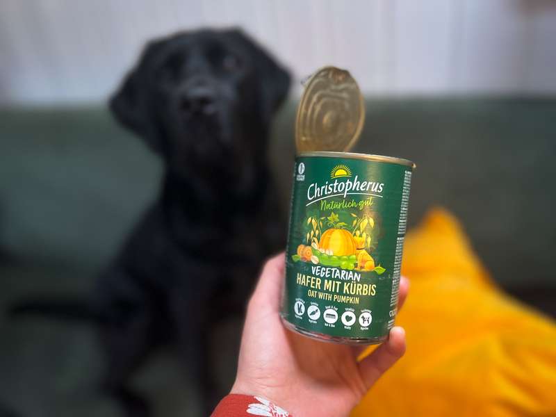 Geöffnete Nassfutter-Dose mit Labrador im Hintergrund