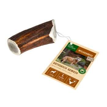 Produkt Test Titelbild