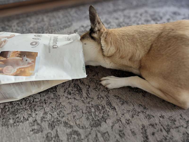 fungoVITAL WaldMen&uuml; Trockenfutter im Test - vegetarisches Hundefutter mit hoher Akzeptanz