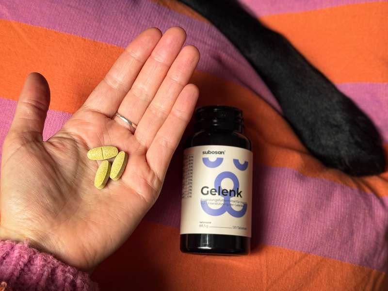 Sali mit den subosan Gelenktabletten, Nahaufnahme Tablette, Pf&ouml;tchen im Hintergrund