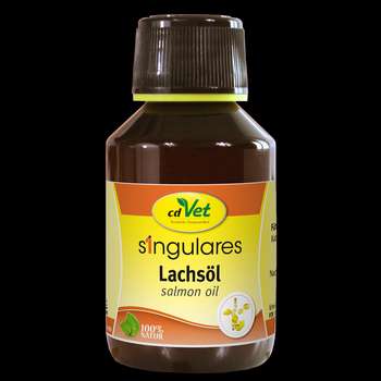 Produkt Test Titelbild