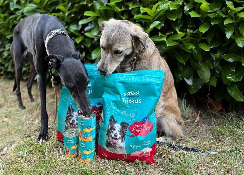 Zwei Hunde mit dem activaFriends TF und NF