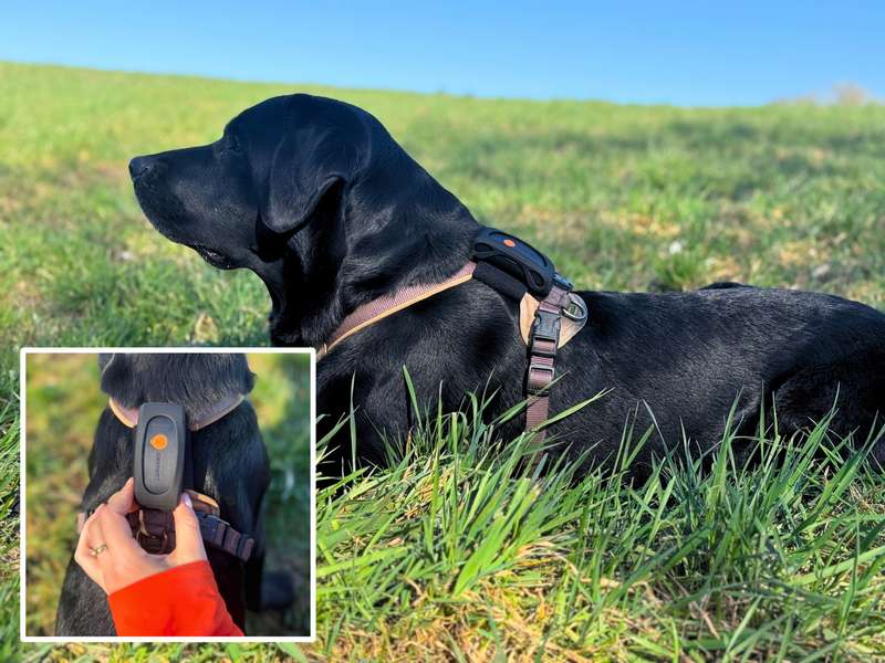 Weenect XT GPS Tracker Erfahrungen Testbericht