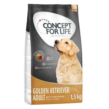 tests-Concept for Life Golden Retriever Adult-Bild