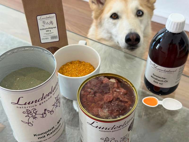 Lunderland Produkte f&uuml;r Hund im Test Erfahrungen - Hund mit dem Men&uuml; von Lunderland 