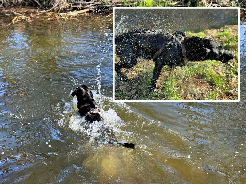 Weenect XT GPS Tracker Erfahrungen Testbericht wasserdich