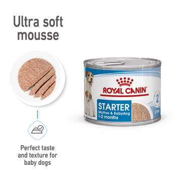 tests-Royal Canin SHN Starter Loaf Can-Bild