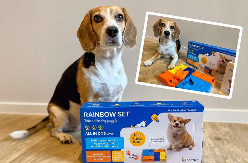 Emma mit dem Pawzler