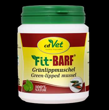 Produkt Test Titelbild