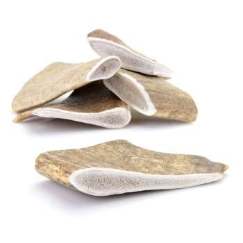 Produkt Test Titelbild