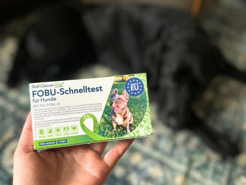 Bluttest Hund Kot