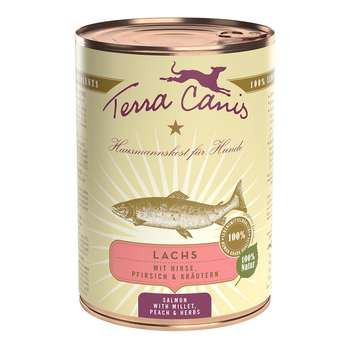 Produkt Test Titelbild