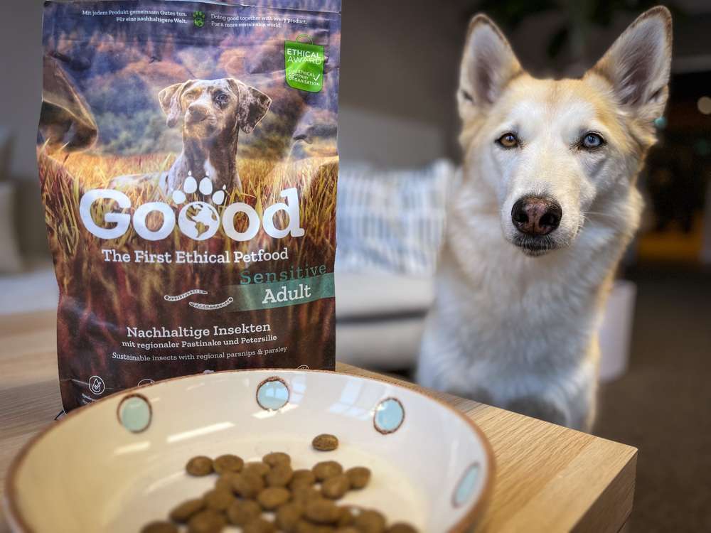 Insektenfutter für Hunde - Goood Trockenfutter Nachhaltige Insekten im Test | inklusive Tierarztmeinung und Community Feedback