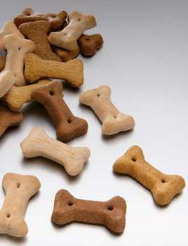 Produkt Test Titelbild