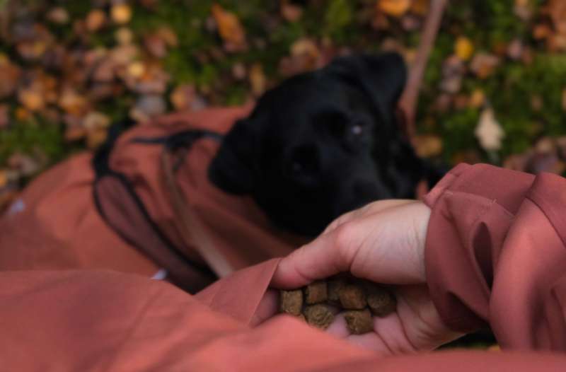 Sali und Julia von Dogorama mit RevolutionRace Silence Proshell 3L Jacket