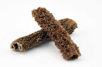 Produkt Test Titelbild