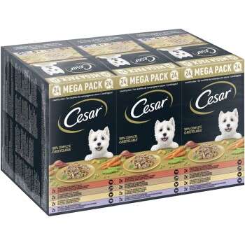 tests-Cesar Multipack Landragout-Bild