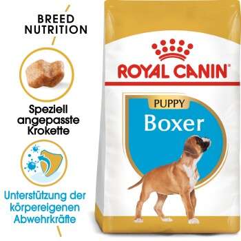 tests-Royal Canin Boxer Puppy-Bild