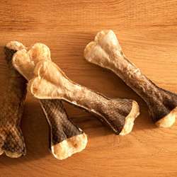 Produkt Test Titelbild