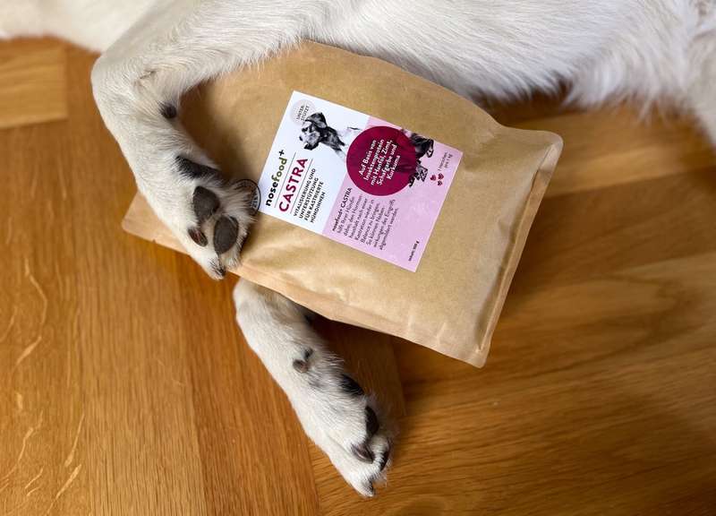 Nahaufnahme Castra Beutel zwischen Pfoten