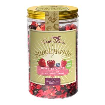 Produkt Test Titelbild