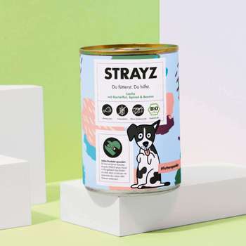 tests-STRAYZ BIO Lachs mit Kartoffel, Spinat & Beeren-Bild