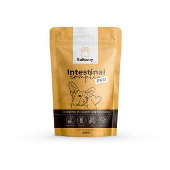 Produkt Test Titelbild