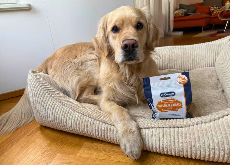 Fred mit dem Intestinal Balance Snack