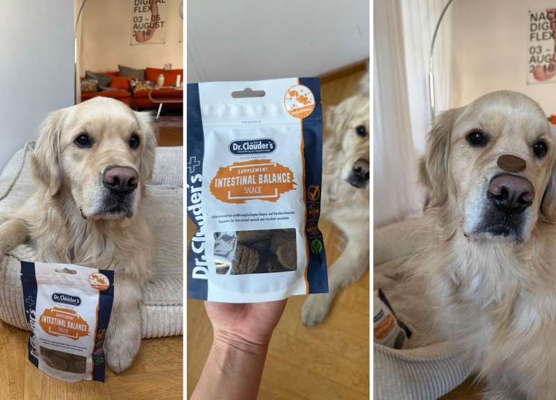 Fred mit dem Intestinal Balance Snack