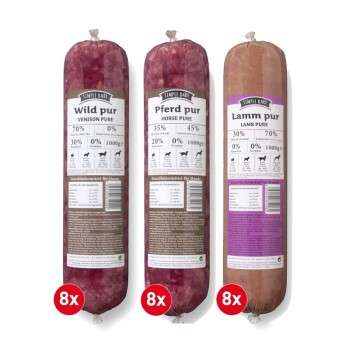 Produkt Test Titelbild