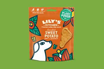 tests-LILY'S KITCHEN Succulent Sweet Potato Jerky with Jackfruit-Bild