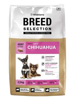 tests-Wildsterne Breed Selection Chihuahua-Bild