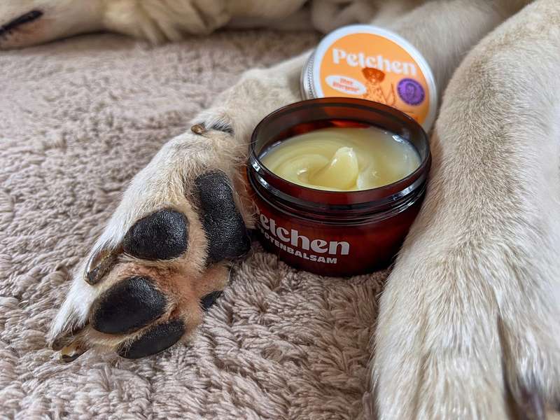 Petchen Pfotenbalsam im Test, Erfahrungen