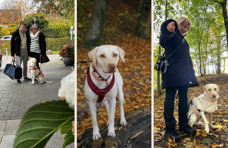 Niclas, Janina und Leila 
