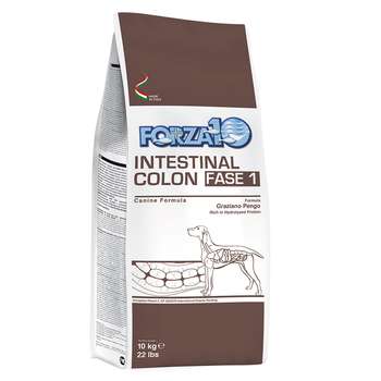 tests-Forza10 Active Line Intestinal Colon Phase 1-Bild