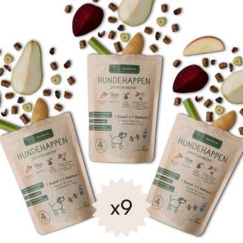 Produkt Test Titelbild