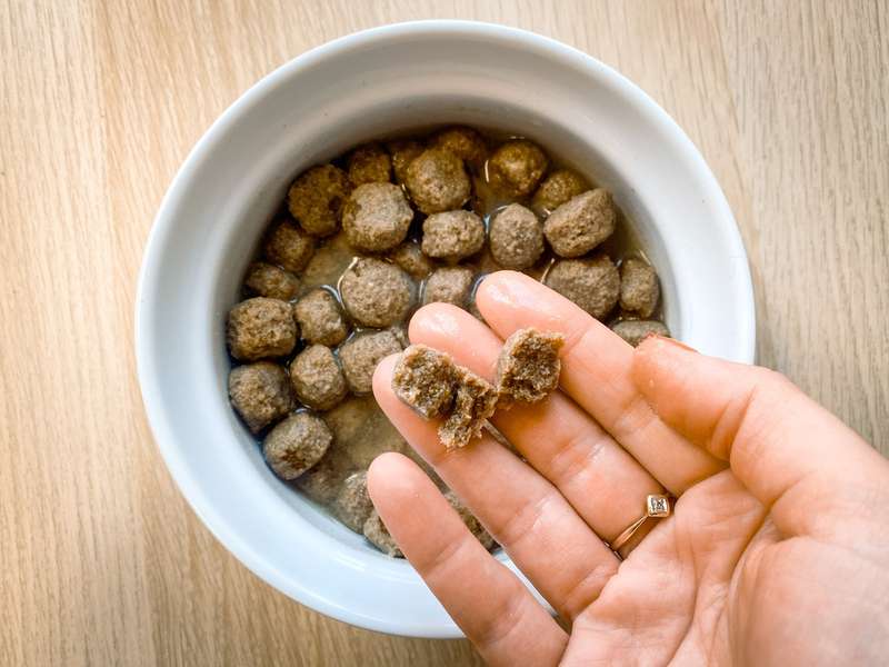 Eingeweichtes Trockenfutter 