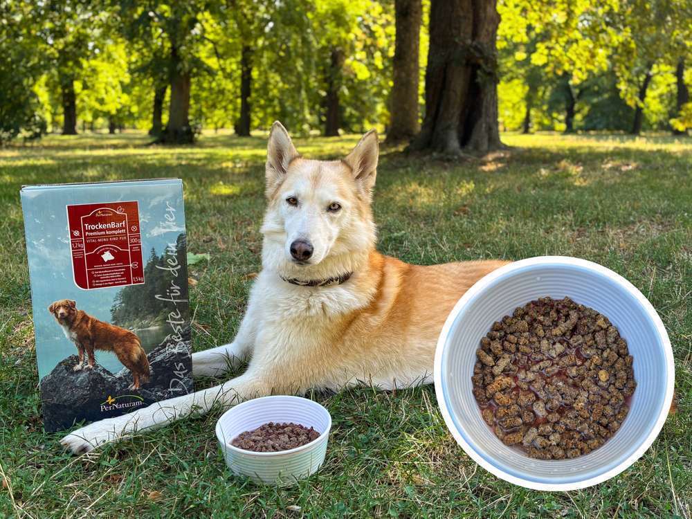 TrockenBarf Rind pur von PerNaturam im Dogorama-Test: BARF für unterwegs 🐺✨